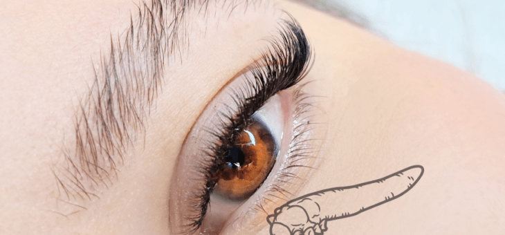 Ácaros Demodex: os “habitantes invisíveis” da sua pele que podem afetar seus olhos
